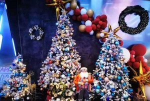 杭州设计新秀：毕业求职创意行业新机遇